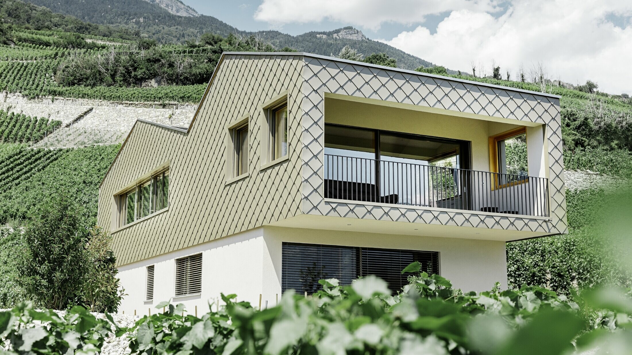 Moderní rodinný dům uprostřed vinic údolí řeky Rhôny se čtyřmi různými střešními plochami a otevřenou galerií s bronzovou fasádou